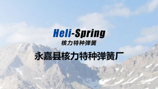 永嘉县核力特种弹簧厂